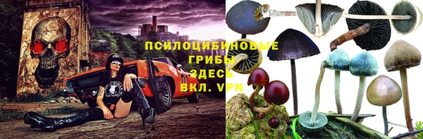 ешки Кукмор