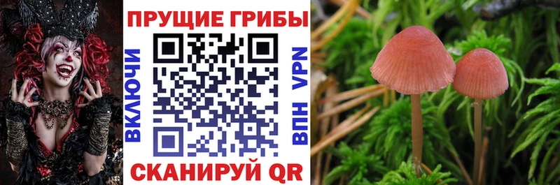 МЕГА зеркало  Кубинка  darknet состав  наркота  Галлюциногенные грибы прущие грибы 