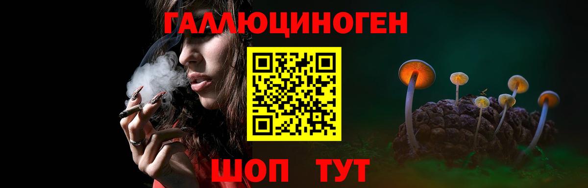 Галлюциногенные грибы мицелий  Вход с VPN  Кубинка 