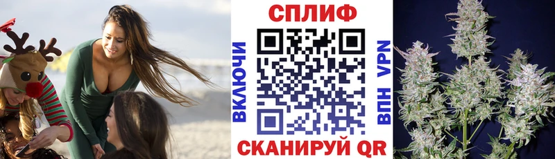 Бошки марихуана Bruce Banner  цена   Кубинка 